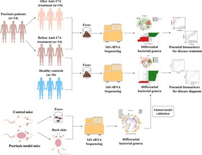 IL-17A inhibitors alleviate Psoriasis with concomitant restoration of intestinal/skin microbiota homeostasis and altered microbiota function